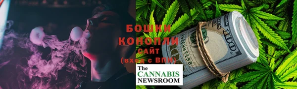 ПСИЛОЦИБИНОВЫЕ ГРИБЫ Михайловка