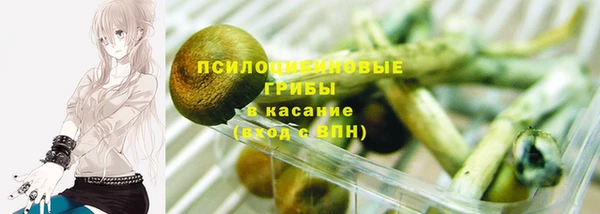 спайс Медногорск