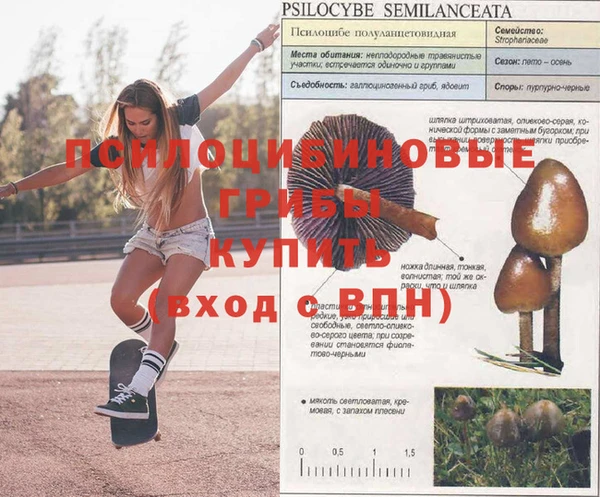 спайс Медногорск