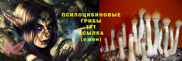 MDMA Premium VHQ Гусь-Хрустальный