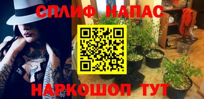 ПСИЛОЦИБИНОВЫЕ ГРИБЫ Абинск