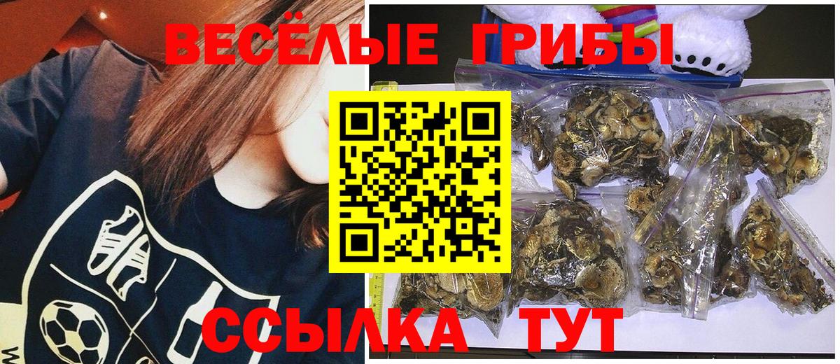 Псилоцибиновые грибы Magic Shrooms Кыштым