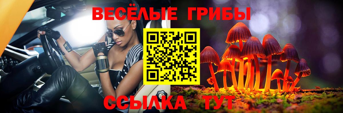 Псилоцибиновые грибы Cubensis  Вход с VPN  Кыштым 
